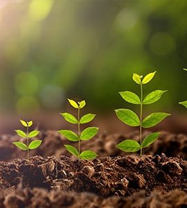 environmental_management2